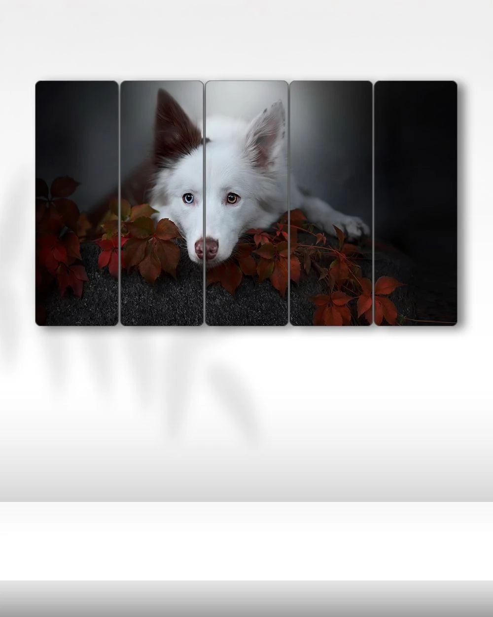 Chihuahua Tatilde, Köpek, Şapka - 5 Parçalı Tablo