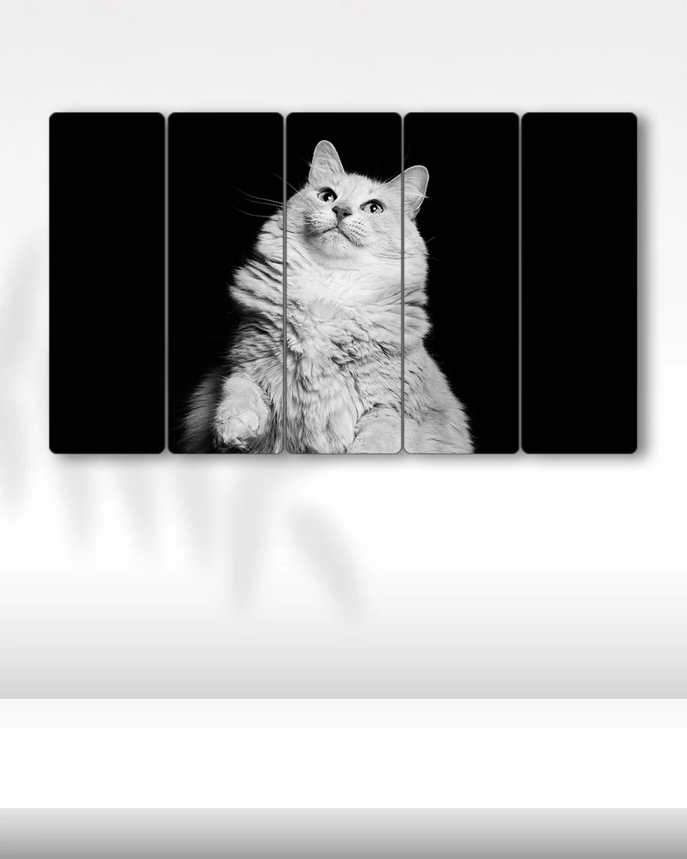 Beyaz Tombul Kedi - 5 Parçalı Tablo