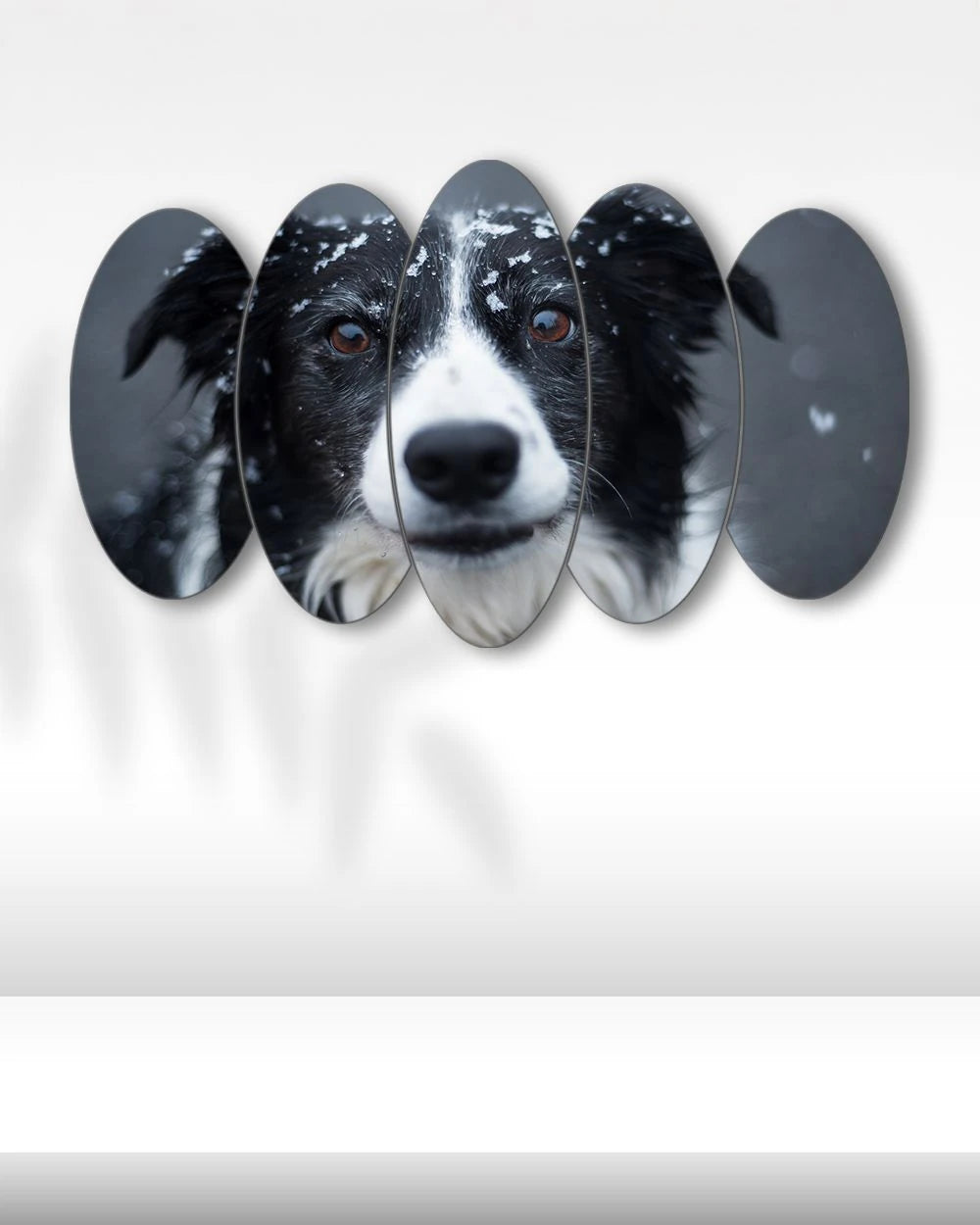 Border Collie Köpeği - 5 Parçalı Tablo