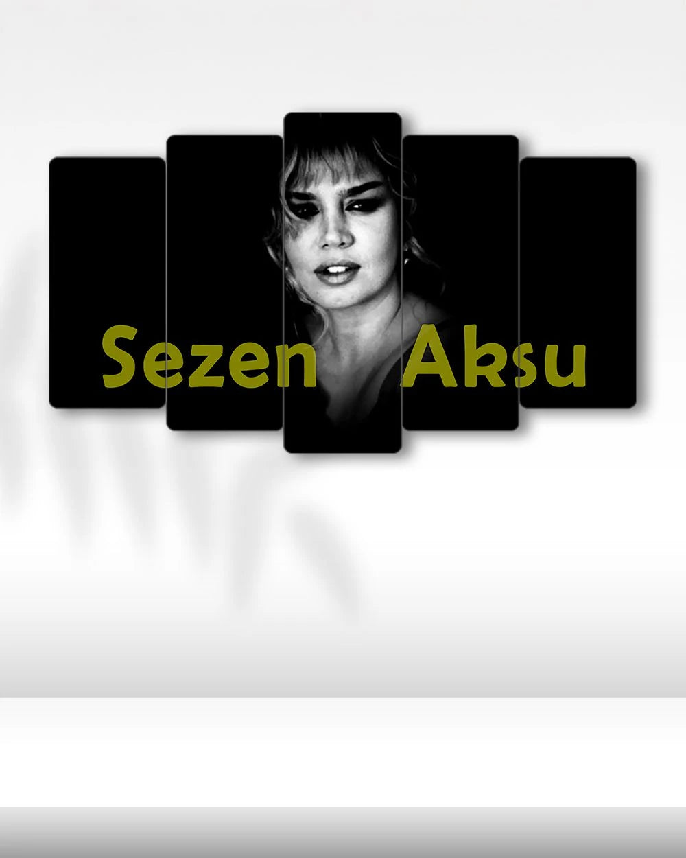 Sezen Aksu, Siyah Beyaz Portre - 5 Parçalı Tablo