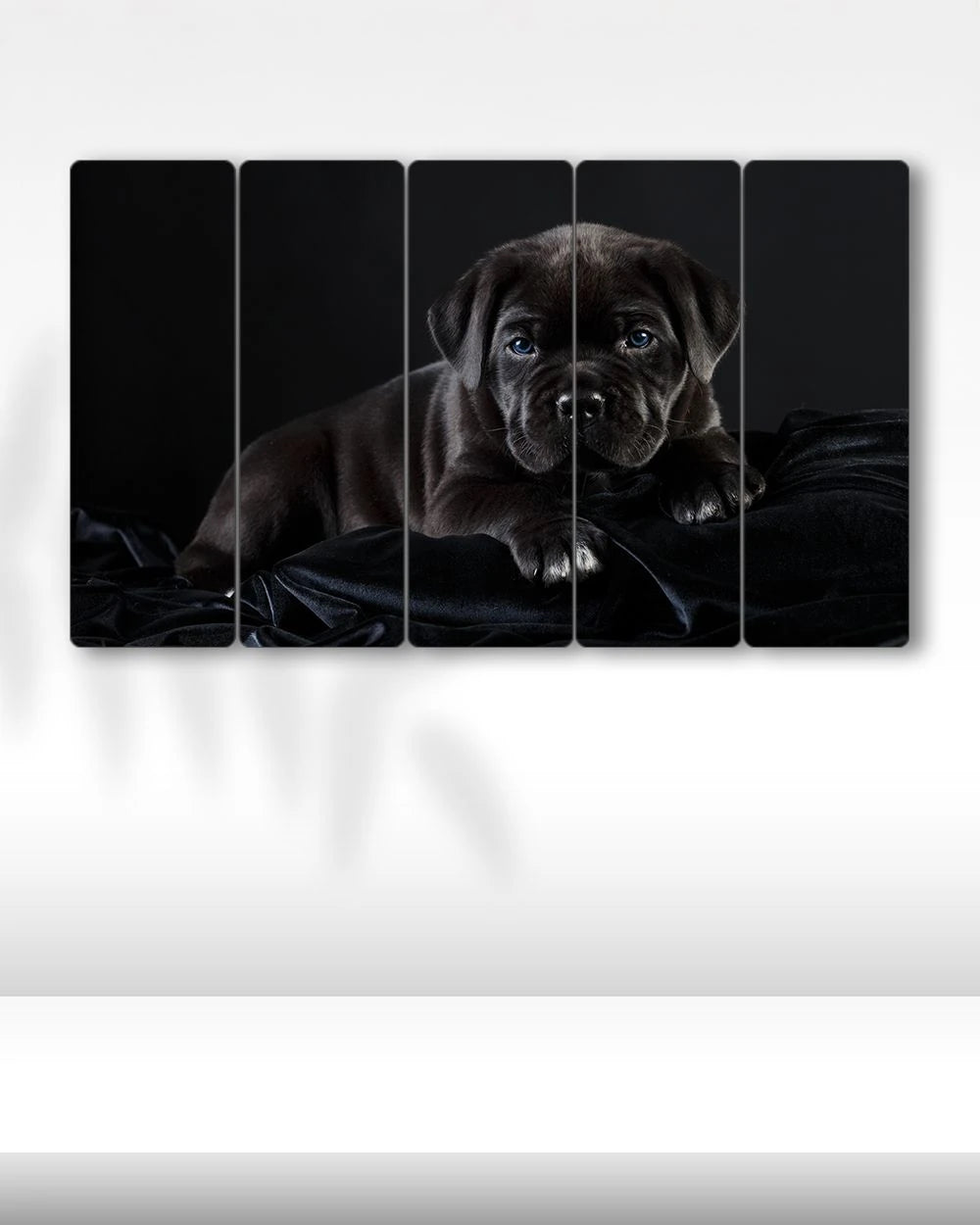 Yavru Köpek, Cane Corso Italiano- 5 Parçalı Tablo