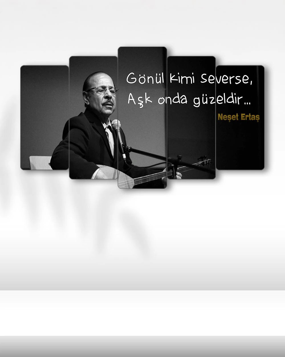 Neşet Ertaş, Gönül Kimi Severse - 5 Parçalı Tablo