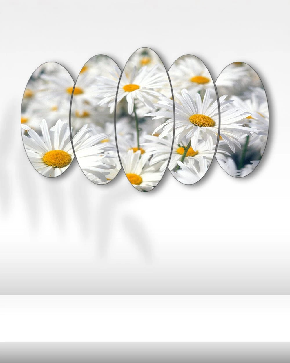 Beyaz Papatya Bahçesi - 5 Parçalı Çiçek Tablo