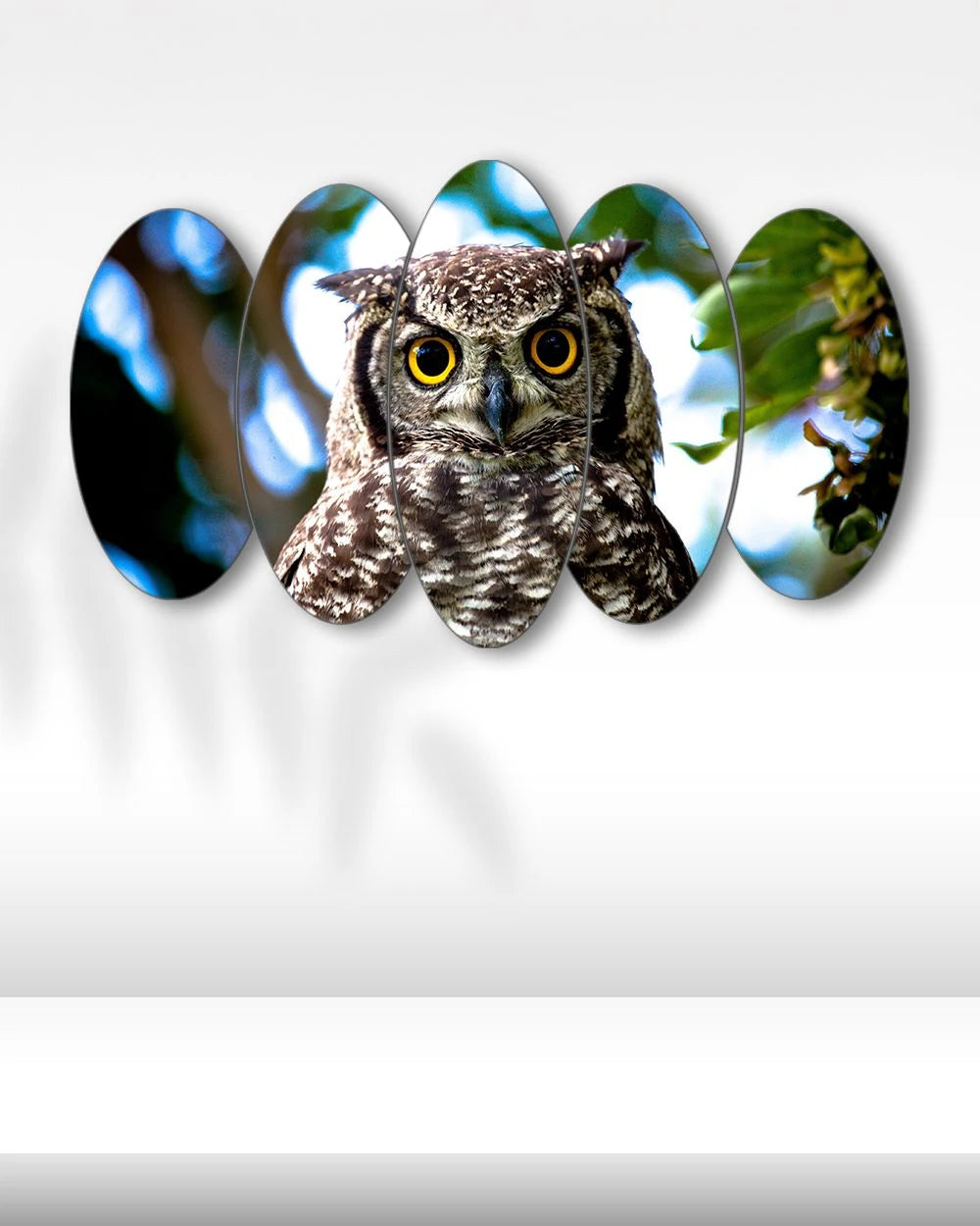 Baykuş Portresi - 5 Parçalı Tablo