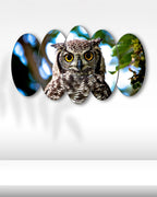 Baykuş Portresi - 5 Parçalı Tablo