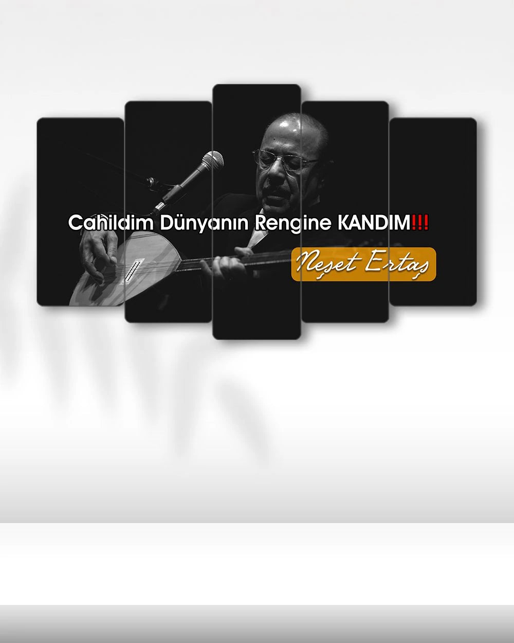 Neşet Ertaş, Kandım - 5 Parçalı Tablo